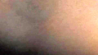 Shake That Ass Part 1