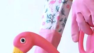 Hot Amazing Babes Compilation: Amateur, Eporner  Creampie Porn