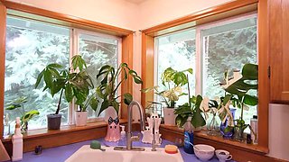 Destination Kats Funny Indoor Plant Haul
