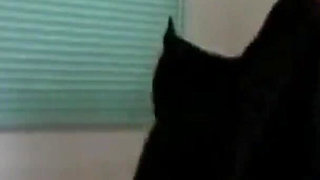 He Said It Was Therapy. She Learned It Was Something Deeper - Chapter4