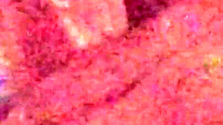 Straight Mouth 2 Dick