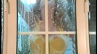 The Window Cleaner