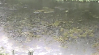 Teen Shows Tits and Asshole During a Storm in the Forest