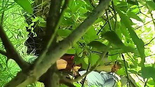 Hooker Gives Wild BJ and Sex in the Woods
