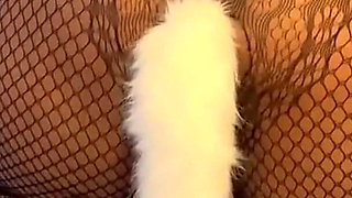 Spanking My Booty Wear Fox Tail Butt Plug