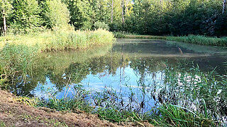 Raise Your Top I Wanna Slap Your Breast Now