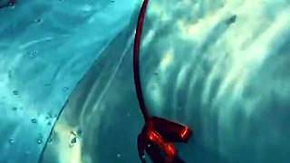 Join Me in the Pool, on My Mv Crush