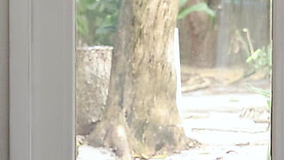 Hot Asian Girl Cums From Her Very 1st BBC