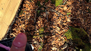 Outdoor Forest Fun - Wet Handjob, Deep Blowjob and Risky Doggy Fuck