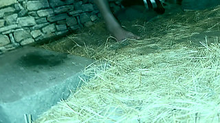 BEND OVER for my CHAIN FLOGGER