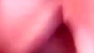 Delicious blowjob with ball sucking included