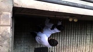 Real Homemade Amateur Hidden Cam 1