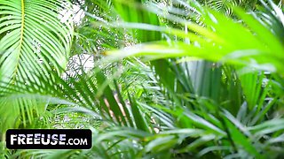 Captivating Juan Largo and Summer Col's sneaky smut