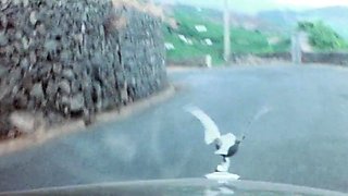 03 Porn to censored softcore erotic Exoporn