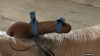 Leo Gets Mummified By Kenzie