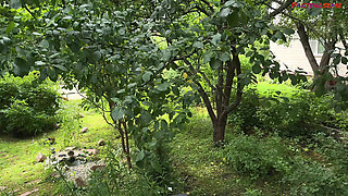 Chubby Brunette Mature Olala Anal Fucks Outdoors in Her Pantyhose and Crocs