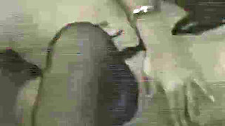 She Gives Him a Nice Massage and He Breaks Her Pussy and Ass