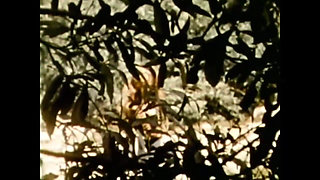 Old School Horny Couple Goes Wild