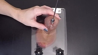 Clearing the Urethra Results in Copious Sperm Flow