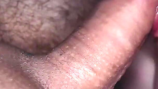 Tongue Exerts Exciting Pressure on My Cock. an Explosion of Sperm