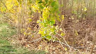 Amateur MILF Wanilianna Squirts in Car Backseat - Homemade Outdoor Pissing