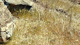 Fisted on Top of a Mountain for the World to See