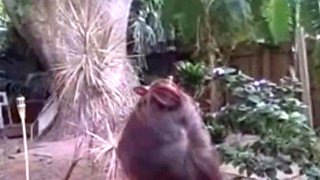 Brandon s Stairway Seduction Scene