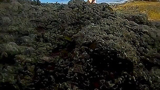 Mermaid Spotted! Wet Encounter in Lost Cove