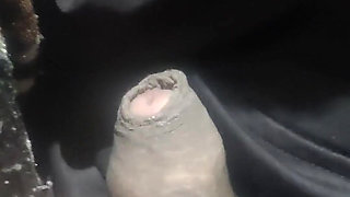 I Have Gone Crazy Seeing Your Youth