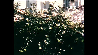 Sensual Fucking Under Dim Italian Lights