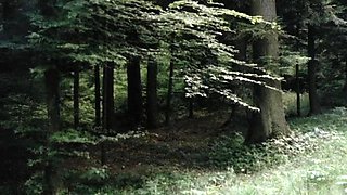 Busty Blond Pornstar Shows Her Stuff