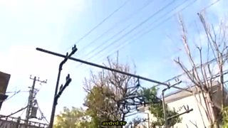 01836,Naughty porn with guys and girls