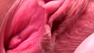 Hot young teacher Amanda Carson wanks her pussy in the classroom