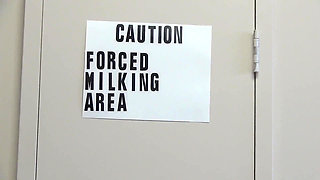 Bossy Lexy Volume 2 Featuring Lexy Eros