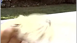 Interracial Taboo With Bbc And Blonde