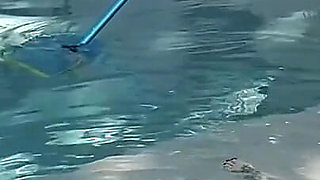 Pool Blowjob with Pedsrmeds