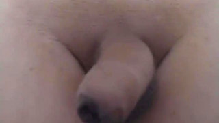 The Penis Dances in the Memory of the Pussy