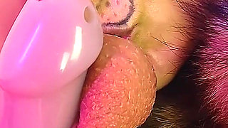 Chastity Cock and Balls Licking - POV