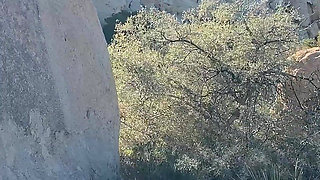 The Adventures of Lety Howl, Episode 12: Usa Road Trip