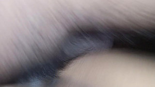 Black Dick in Beautiful White Pussy