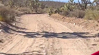 Fishnets in the Wild West