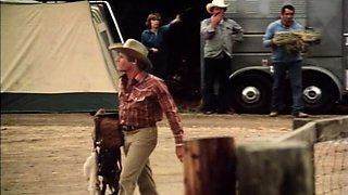 Sexy babe in vintage dress cleans cock off