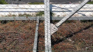 Life Porn Stories 1 - Part 1 Oral Goddess