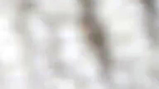 Indian Bhabhi Sex