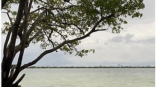 Alone Of The Beach Luna Star Strips Nake And Shakes Her Ass