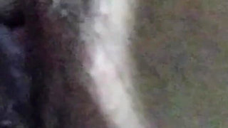 Amateur Solo Fingering