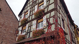 Sexy Blonde Mature Wife Enjoys Oral