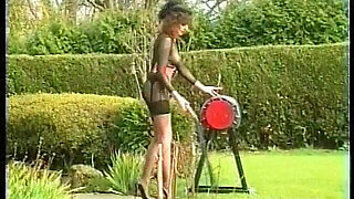 The Whipping