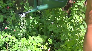 Gardening & Peeing with Little Olive