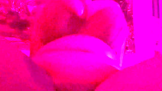 Solo Ebony Riding Dildo